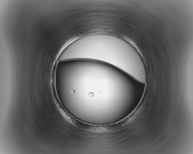 X0000087571042200704270940
