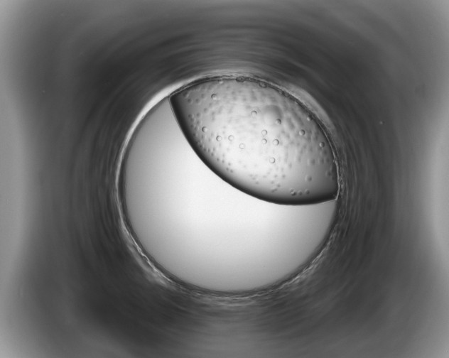 X0000087571044200704270940