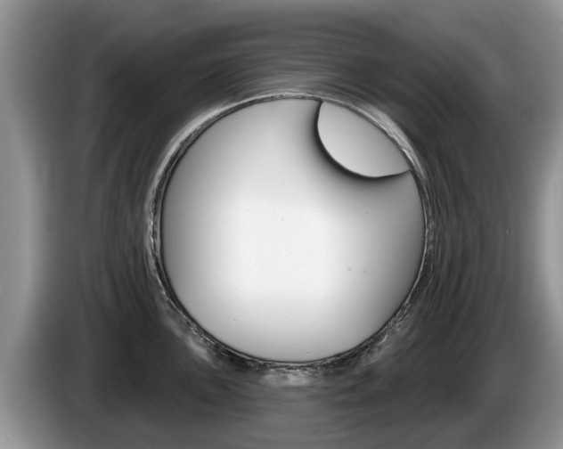 X0000087571051200704270940