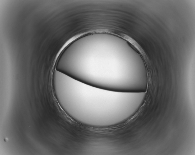 X0000087571052200704270940