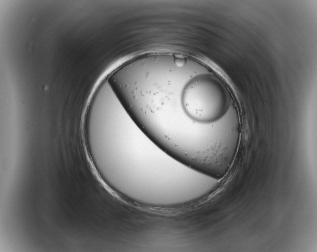 X0000087571053200704270940