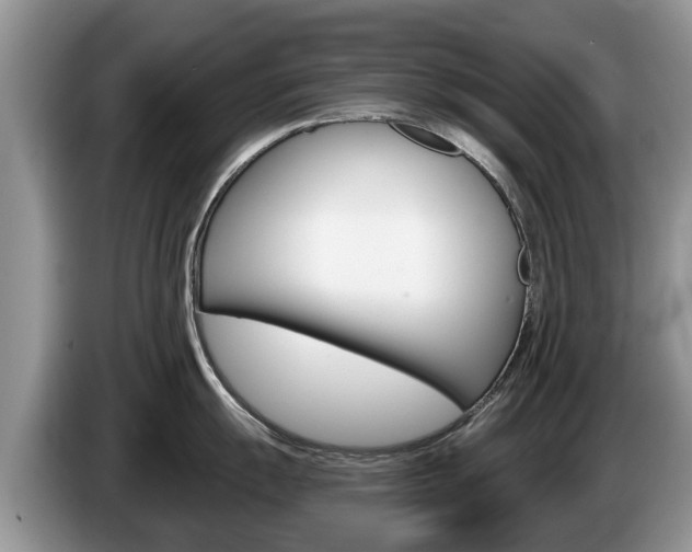 X0000087571055200704270940