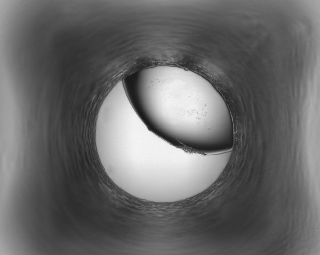 X0000087571058200704270939