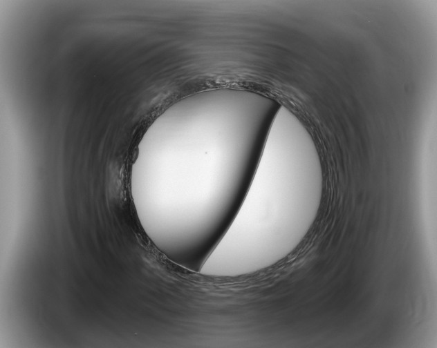 X0000087571060200704270939