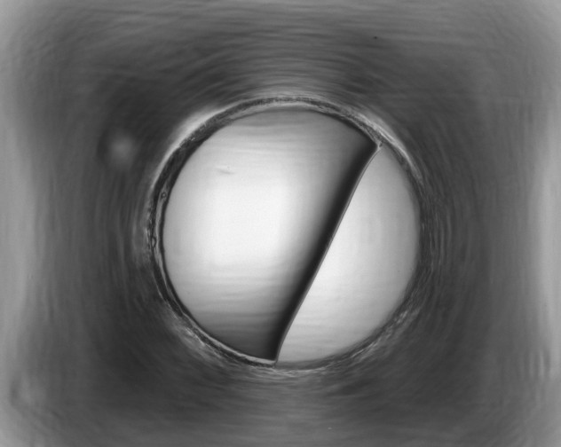 X0000087571068200704270939