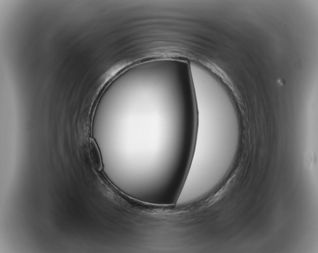 X0000087571081200704270939