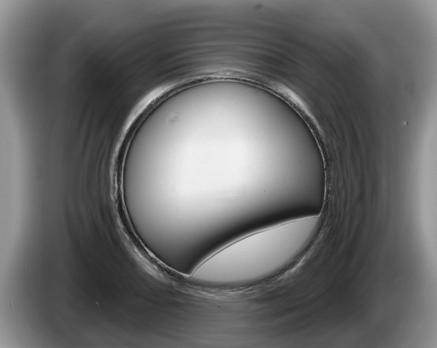 X0000087571082200704270939