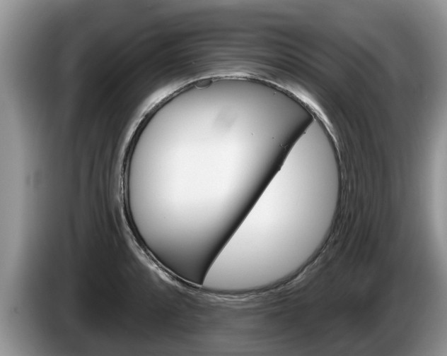 X0000087571088200704270939