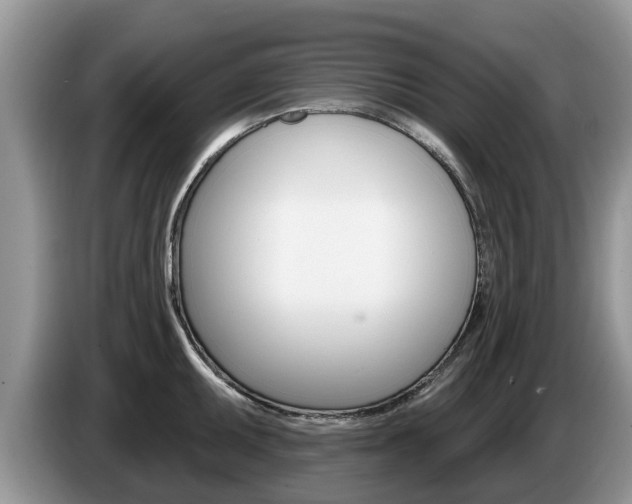 X0000087571095200704270939