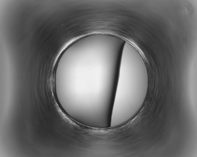 X0000087571100200704270939