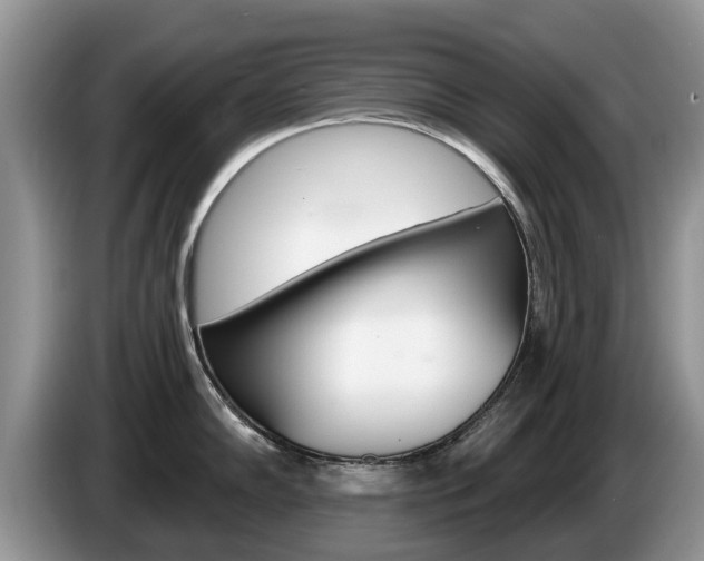 X0000087571102200704270939