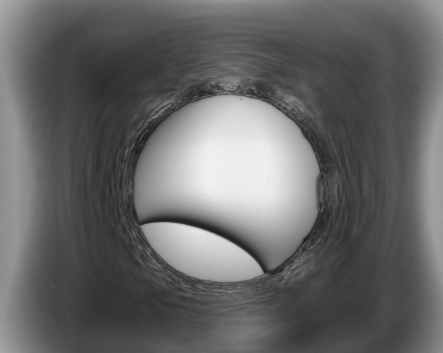 X0000087571105200704270938