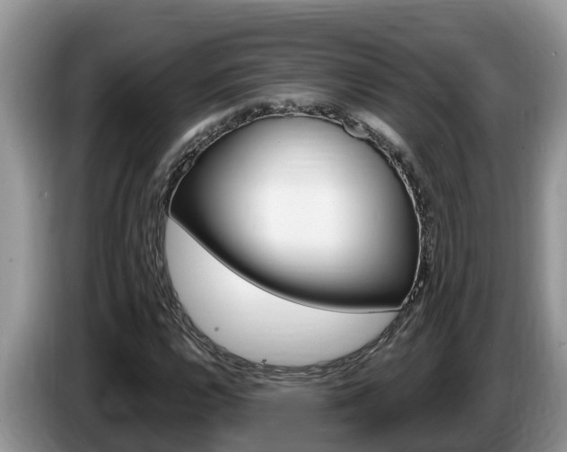 X0000087571112200704270938