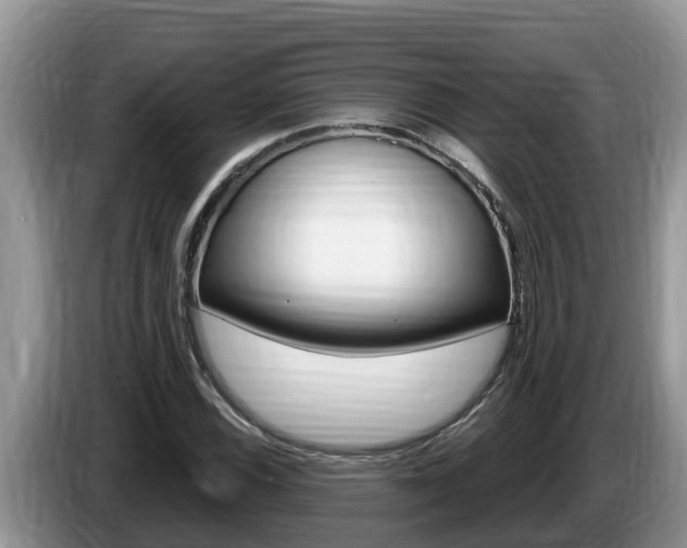 X0000087571116200704270939