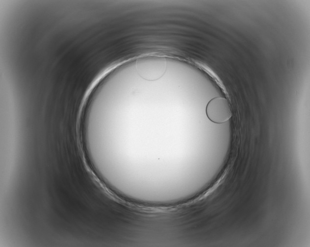 X0000087571122200704270939