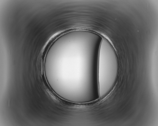 X0000087571123200704270939