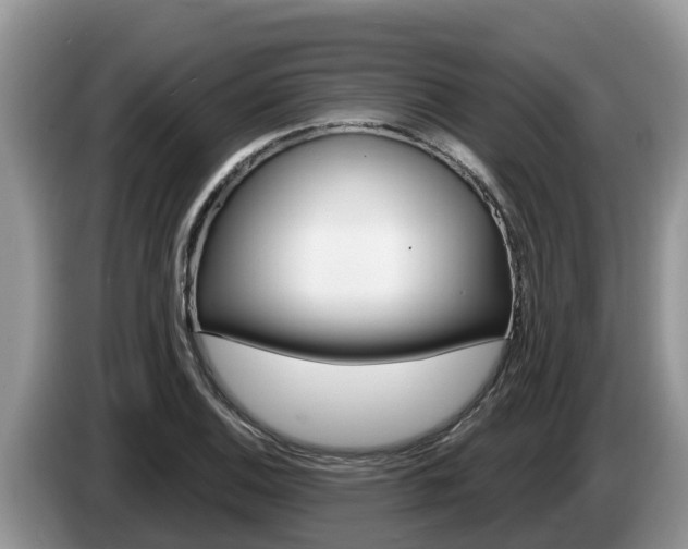 X0000087571124200704270939