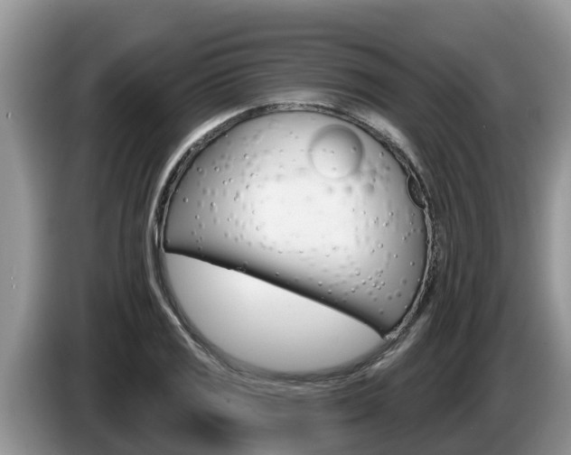 X0000087571125200704270939