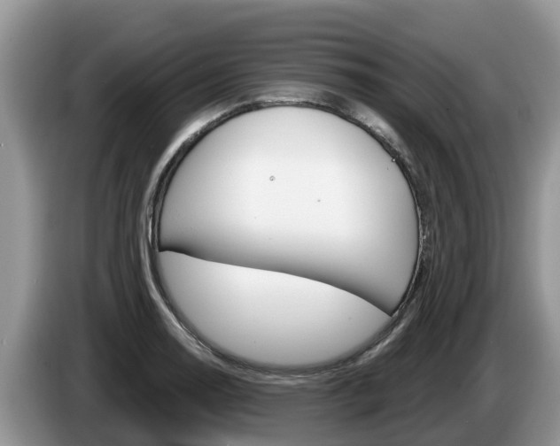 X0000087571130200704270939