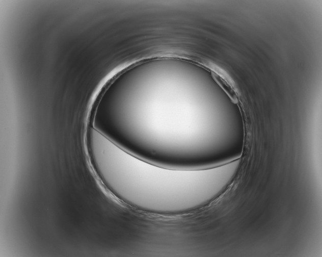 X0000087571136200704270939