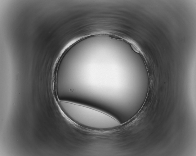 X0000087571143200704270939
