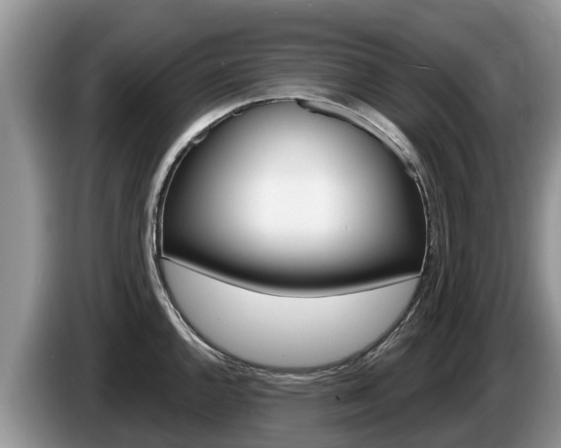 X0000087571144200704270939
