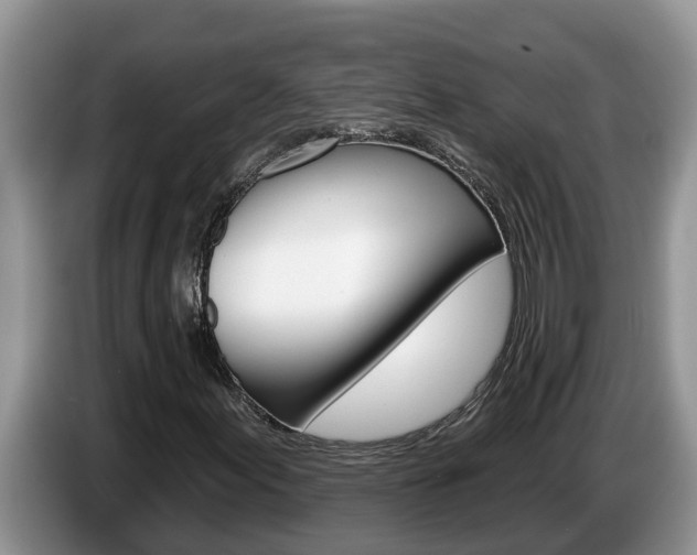 X0000087571155200704270938