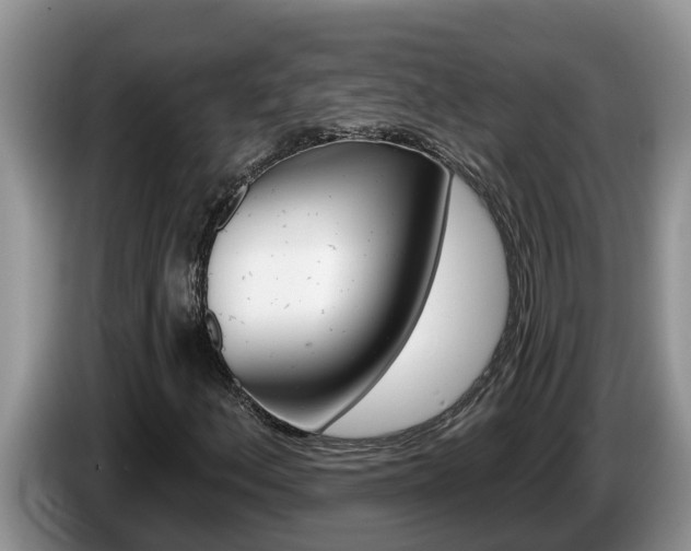X0000087571156200704270938