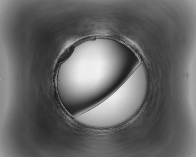 X0000087571168200704270938