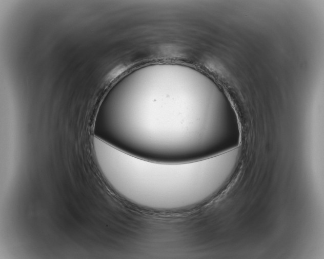 X0000087571169200704270938