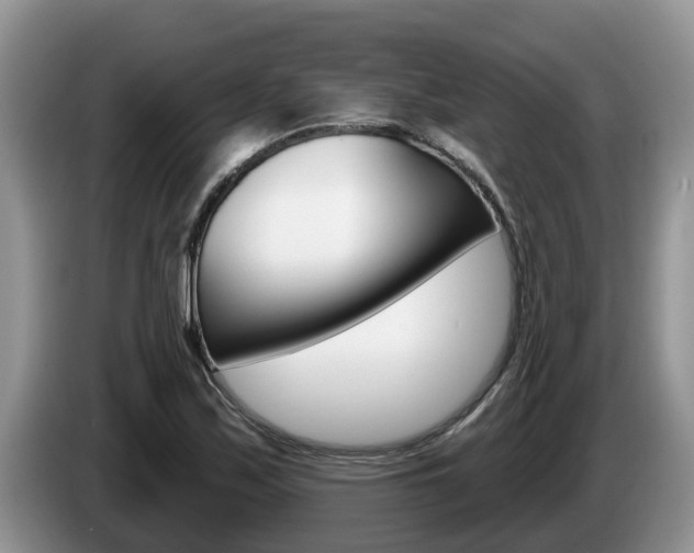 X0000087571171200704270938