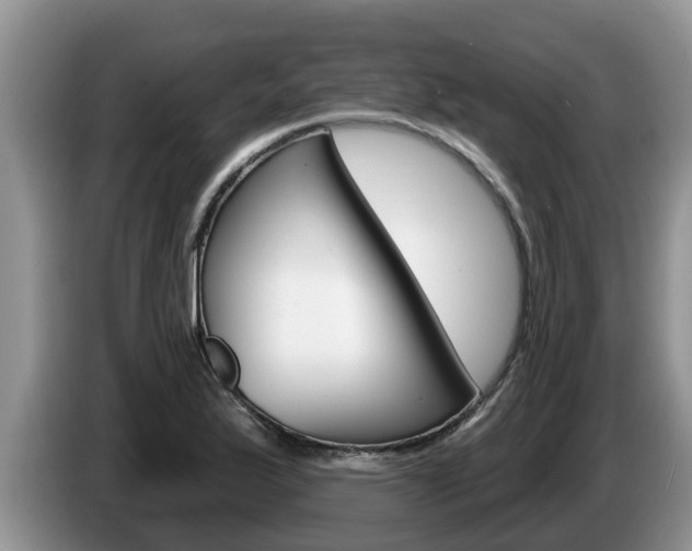 X0000087571175200704270938
