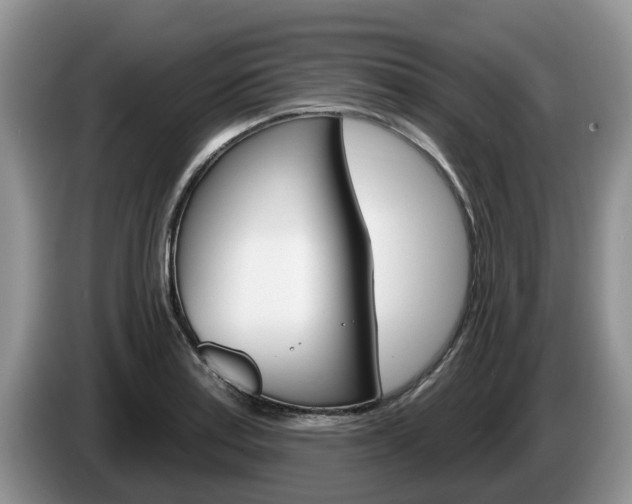 X0000087571179200704270938