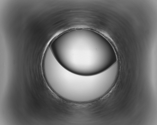 X0000087571181200704270938
