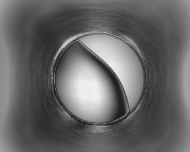 X0000087571184200704270938