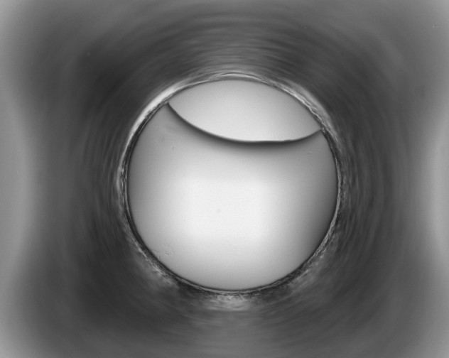 X0000087571190200704270938