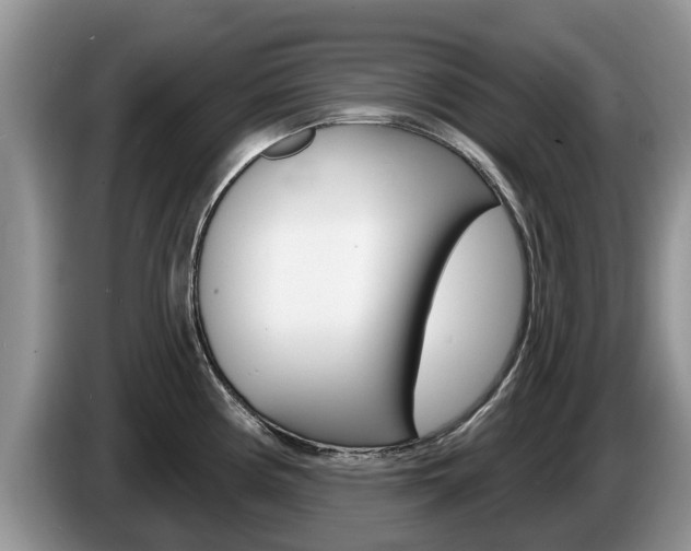 X0000087571194200704270938