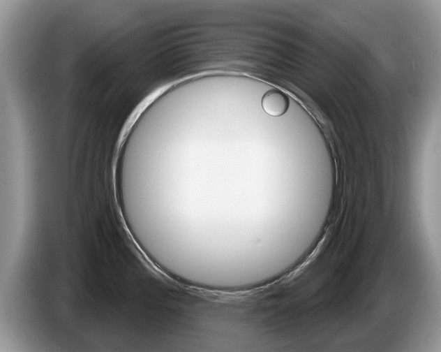 X0000087571196200704270938