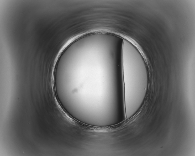 X0000087571199200704270938