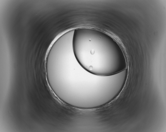 X0000087571200200704270938