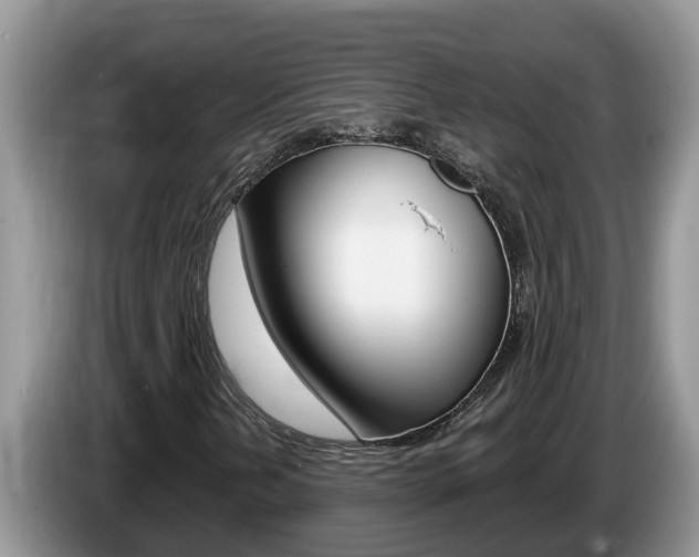 X0000087571202200704270937