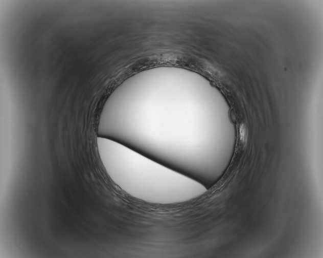 X0000087571203200704270937