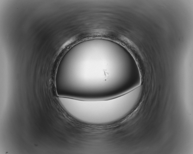 X0000087571210200704270937
