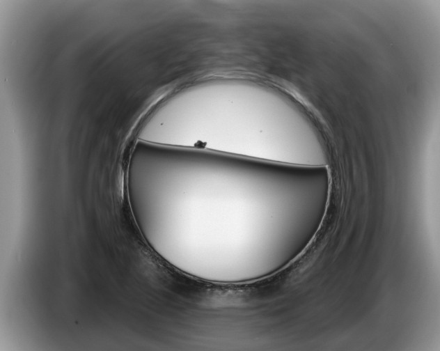 X0000087571221200704270938