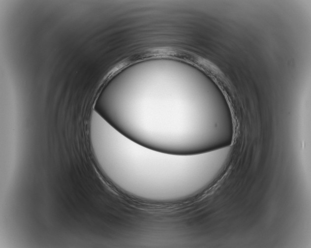 X0000087571225200704270938