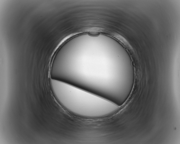 X0000087571228200704270938