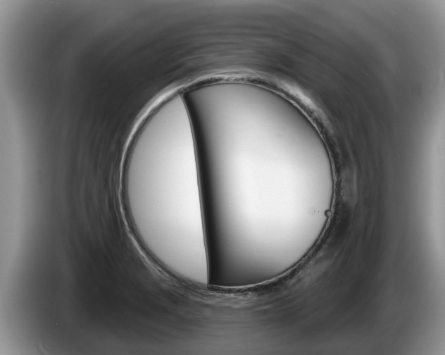 X0000087571229200704270938