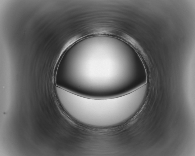 X0000087571234200704270938