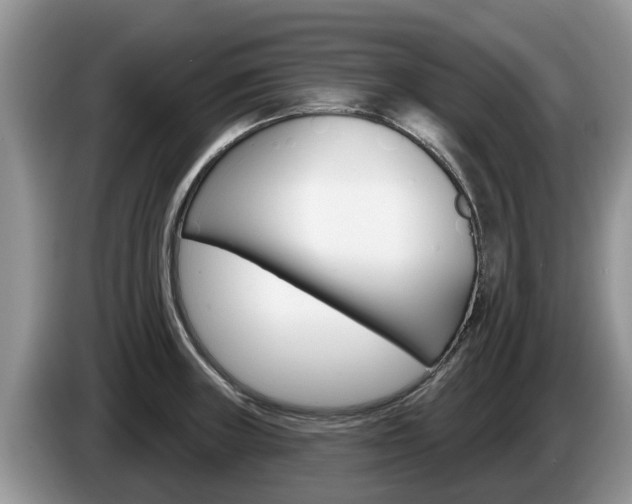 X0000087571235200704270938