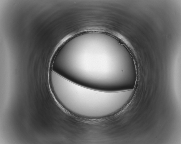 X0000087571237200704270938